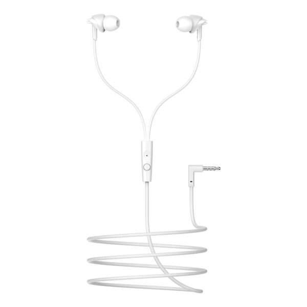 Boat 2025 Launch Bassheads 213L